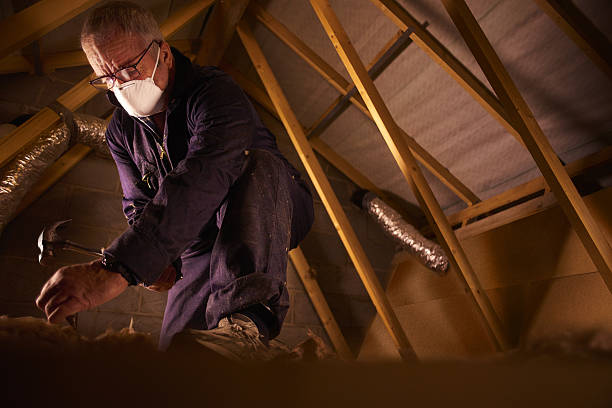 Best Insulation Installation Services in Union, KY